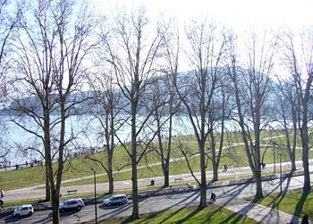 view from balcony