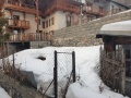 Garden under snow
